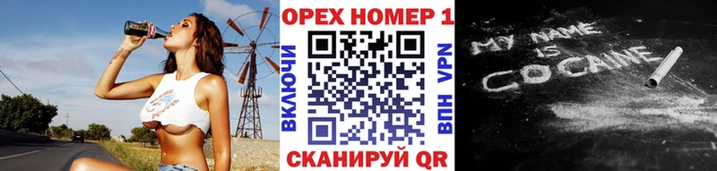 Купить Куртамыш Cocaine Fish Scale