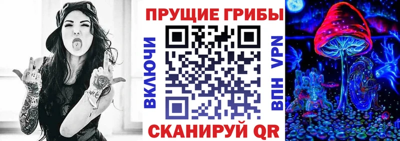 Псилоцибиновые грибы Cubensis  Купить  Куртамыш 